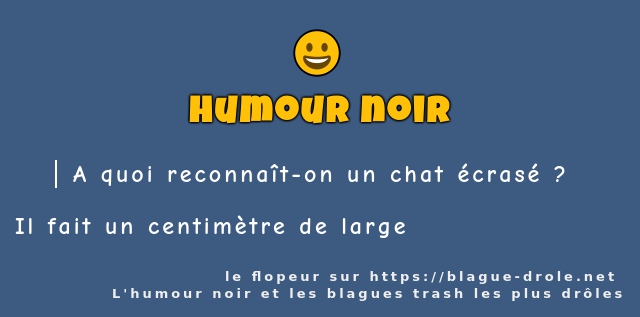 A quoi reconnaît-on un chat écrasé ?