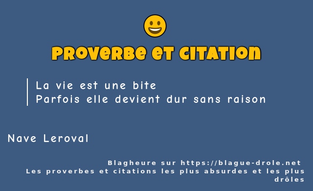 La vie est une bite