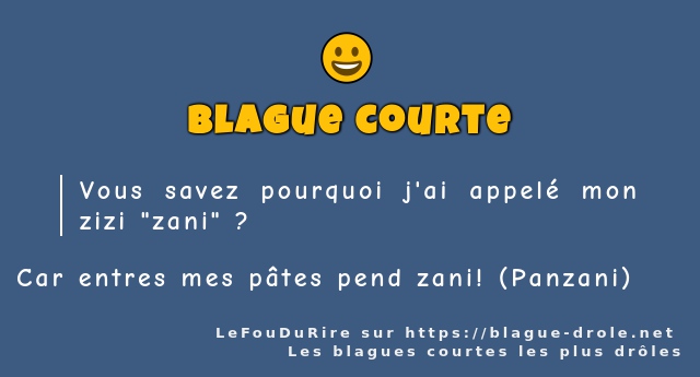 Vous savez pourquoi j'ai appelé mon zizi...