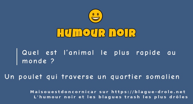 Quel est l’animal le plus rapide au monde ?