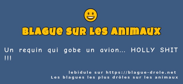 Un requin qui gobe un avion... HOLLY SHIT !!!