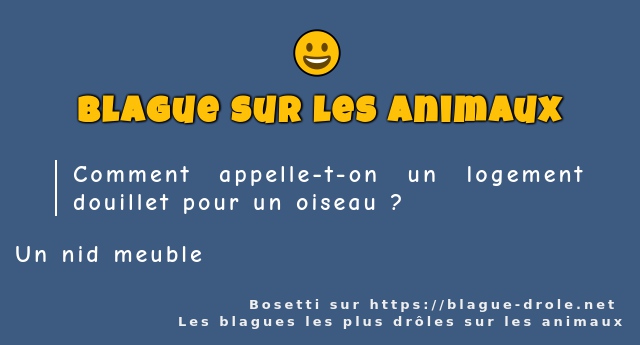 Comment appelle-t-on un logement douillet...