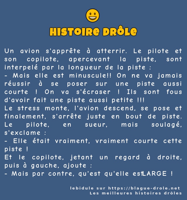 Un avion s'apprête à atterrir. Le pilote et...