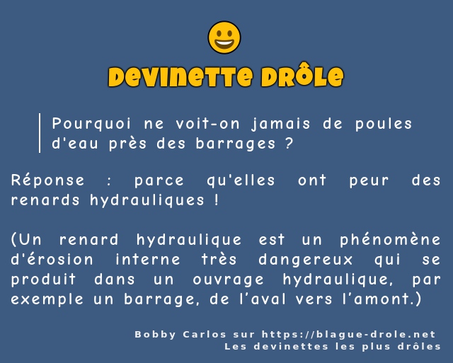 Pourquoi ne voit-on jamais de poules d'eau...