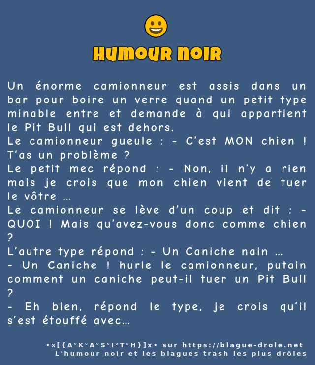 Un énorme camionneur est assis dans un bar...