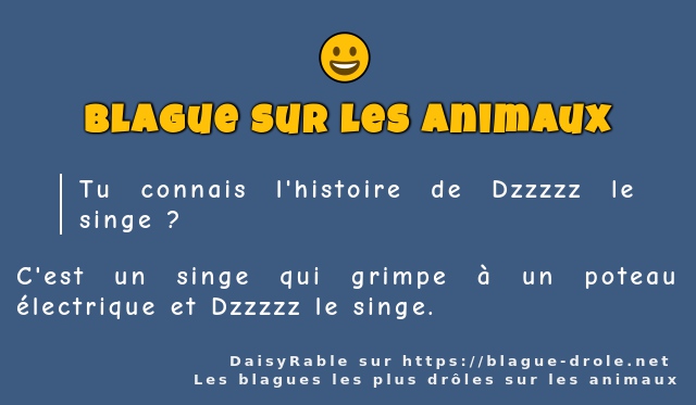 Tu connais l'histoire de Dzzzzz le singe ?