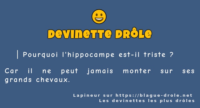 Pourquoi l'hippocampe est-il triste ?