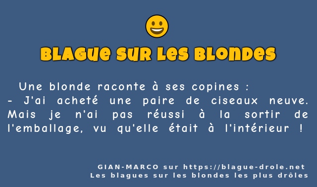   Une blonde raconte à ses copines :  