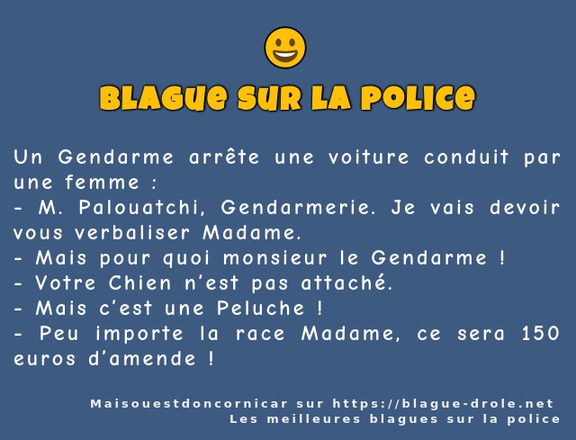 Un Gendarme arrête une voiture conduit par...