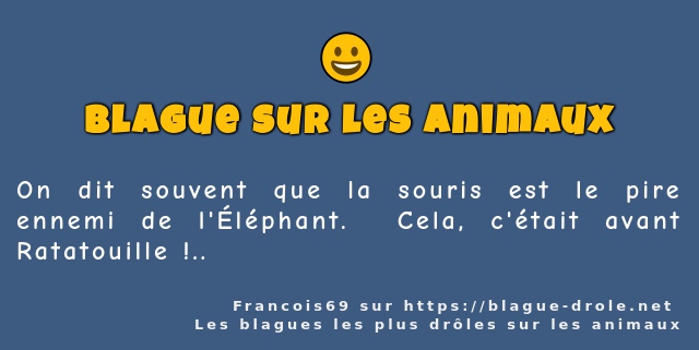 On dit souvent que la souris est le pire...