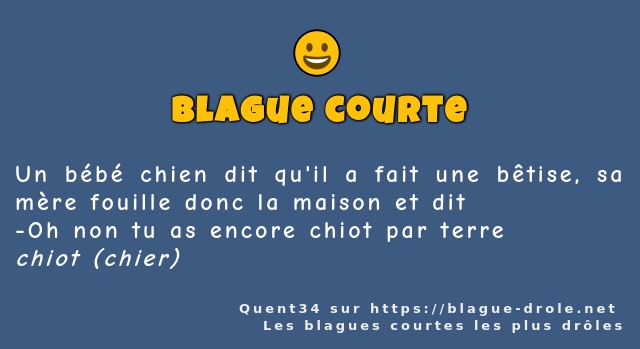 Un bébé chien dit qu'il a fait une bêtise,...