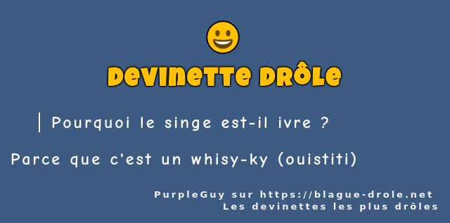 Pourquoi le singe est-il ivre ?