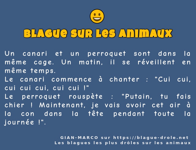 Un canari et un perroquet sont dans la même...