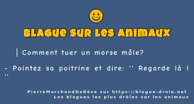 Comment tuer un morse mâle?