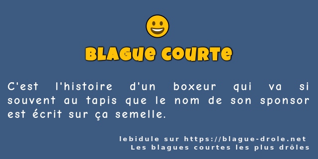 C'est l'histoire d'un boxeur qui va si...