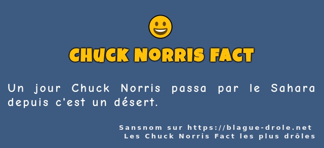 Un jour Chuck Norris passa par le Sahara...