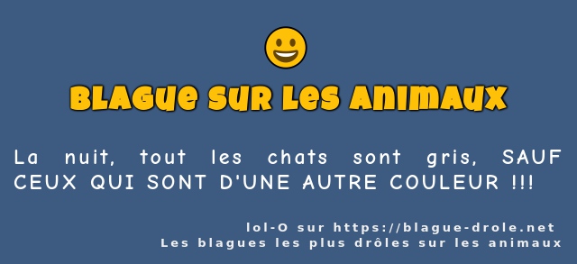 La nuit, tout les chats sont gris, SAUF CEUX...