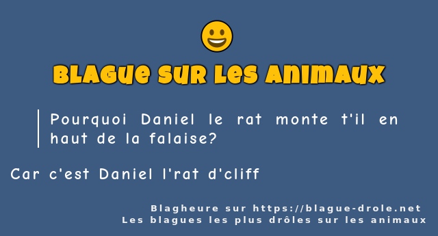 Pourquoi Daniel le rat monte t'il en haut de...
