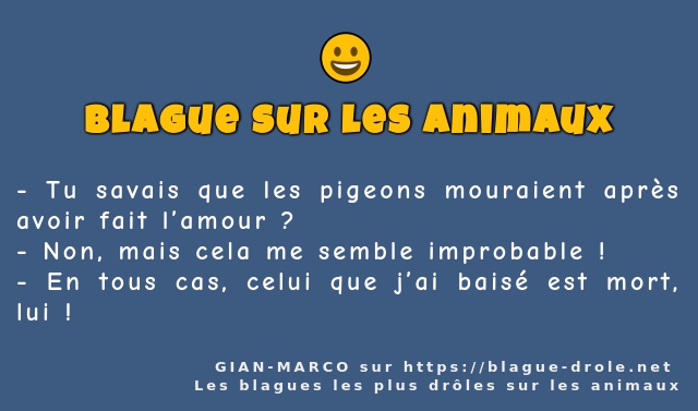 Tu savais que les pigeons mouraient après...