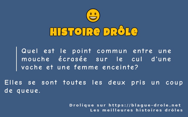 Quel est le point commun entre une mouche...