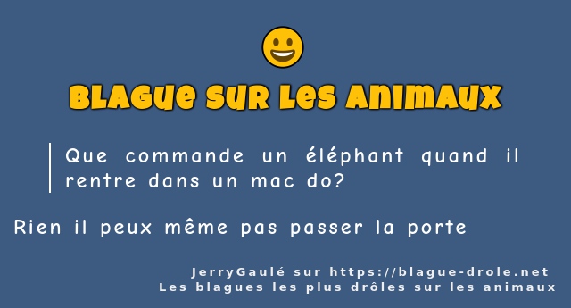 Que commande un éléphant quand il rentre...