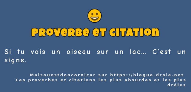 Si tu vois un oiseau sur un lac… C’est un...