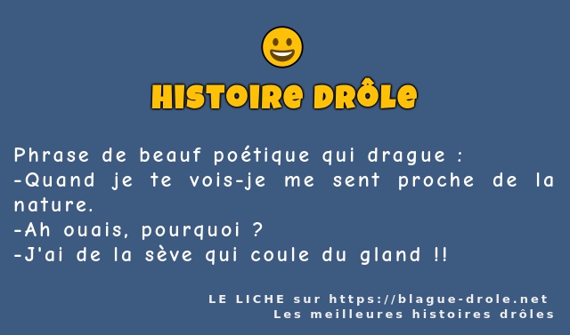 Phrase de beauf poétique qui drague :