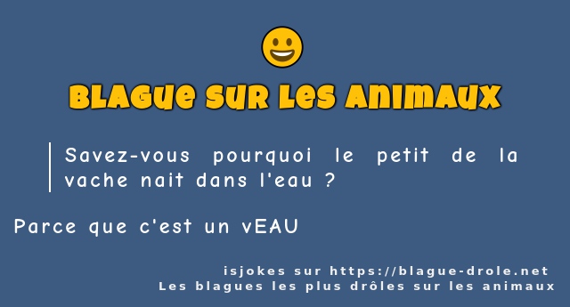 Savez-vous pourquoi le petit de la vache...