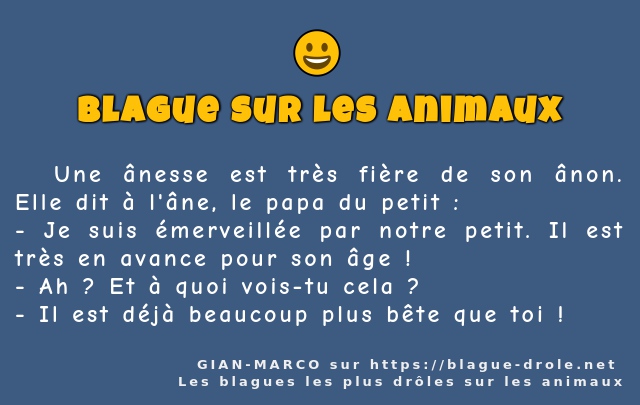   Une ânesse est très fière de son ânon....