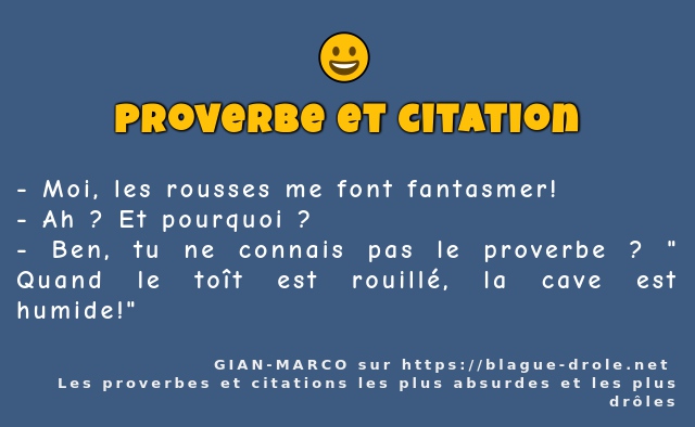 Moi, les rousses me font fantasmer!