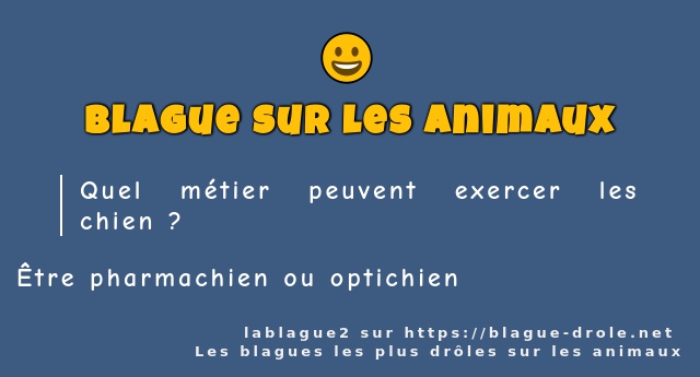 Quel métier peuvent exercer les chien ?
