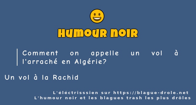 Comment on appelle un vol à l'arraché en...