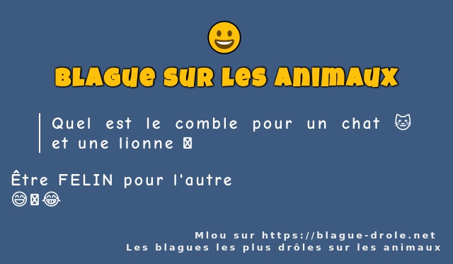 Quel est le comble pour un chat 🐱 et une...