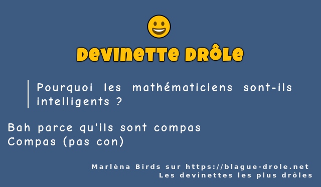Pourquoi les mathématiciens sont-ils...
