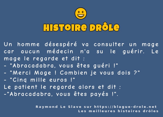 Un homme désespéré va consulter un mage car...