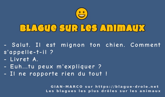 Salut. Il est mignon ton chien. Comment...