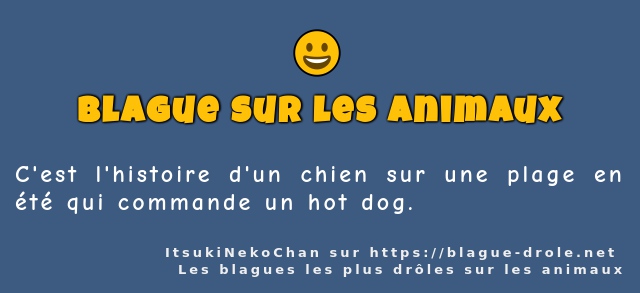 C'est l'histoire d'un chien sur une plage en...