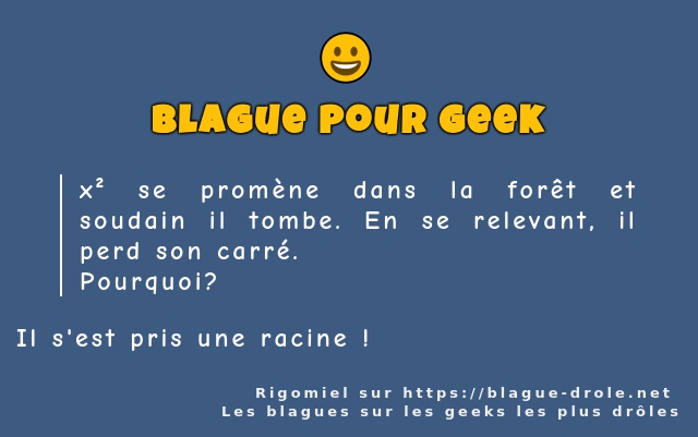 x² se promène dans la forêt et soudain il...