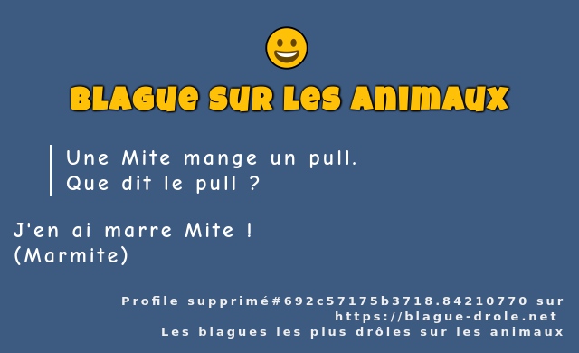 Une Mite mange un pull.