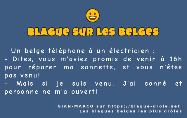   Un belge téléphone à un électricien :