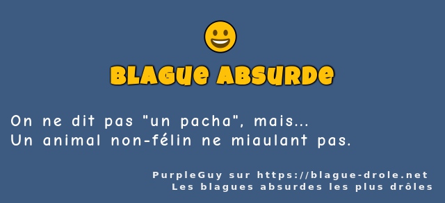 On ne dit pas un pacha, mais... 