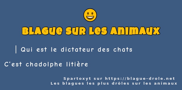 Qui est le dictateur des chats