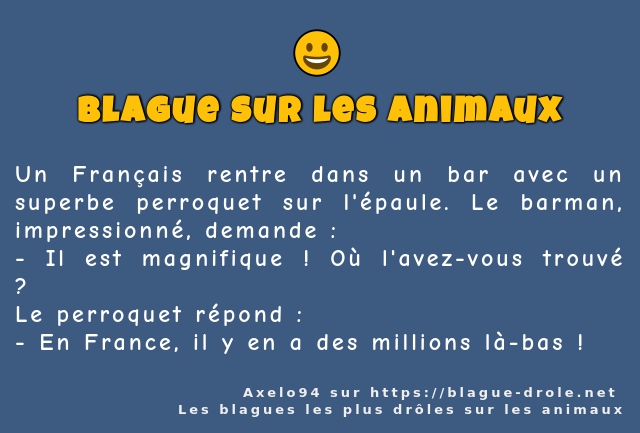 Un Français rentre dans un bar avec un...