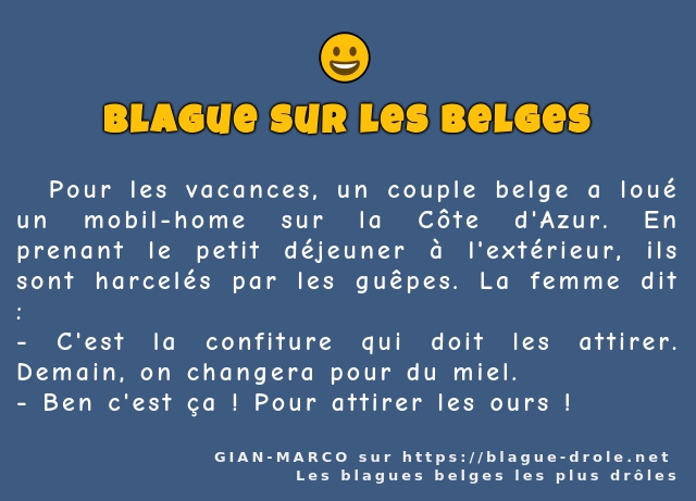   Pour les vacances, un couple belge a loué...
