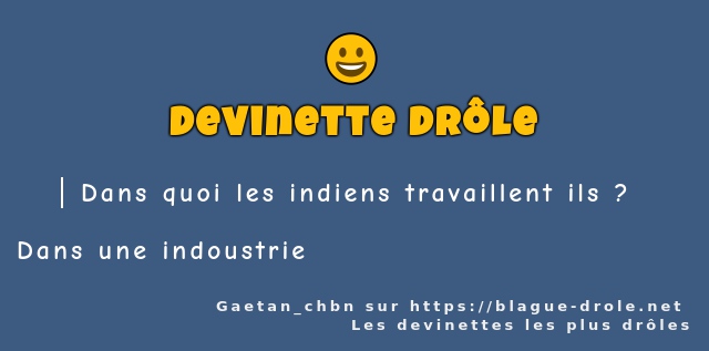 Dans quoi les indiens travaillent ils ?