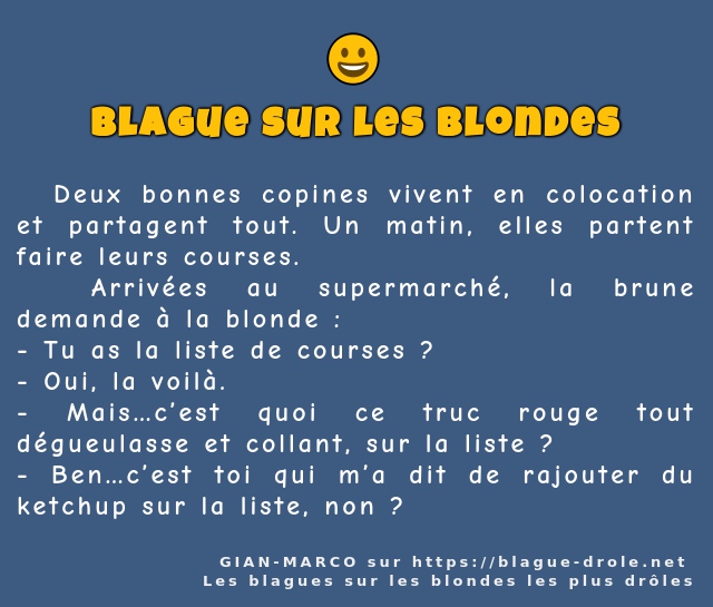  Deux bonnes copines vivent en colocation...