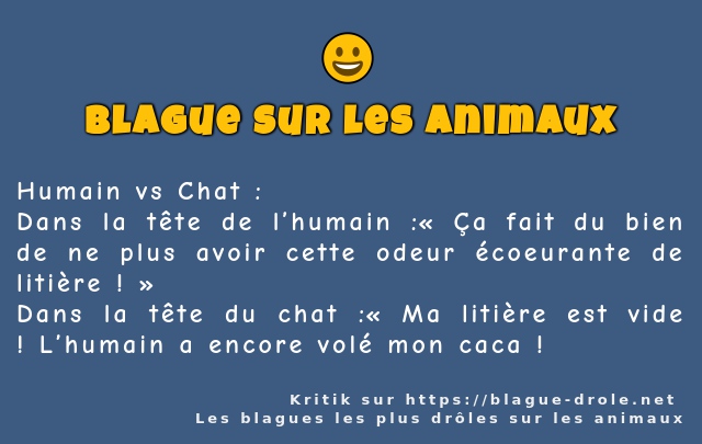 Humain vs Chat :