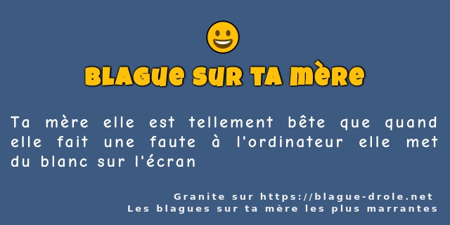 Ta mère elle est tellement bête que quand...