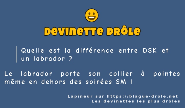 Quelle est la différence entre DSK et un...