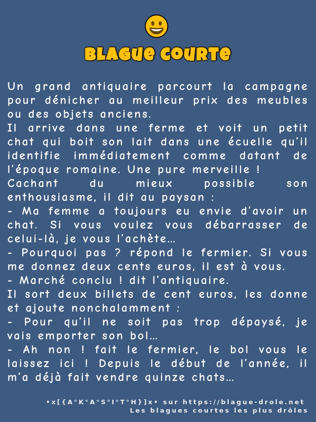 Un grand antiquaire parcourt la campagne...